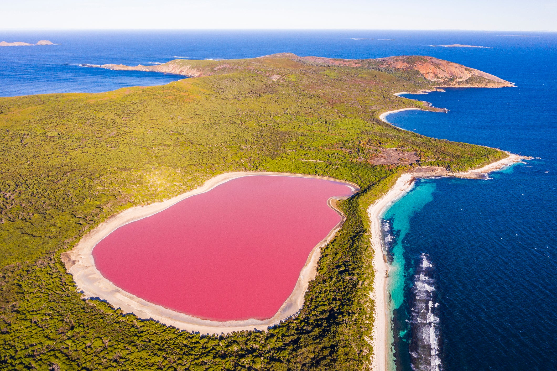 Pink lake aerial view on middle island surrounded blue ocean. Stark contrasting natural phenomenon in Western Australia.