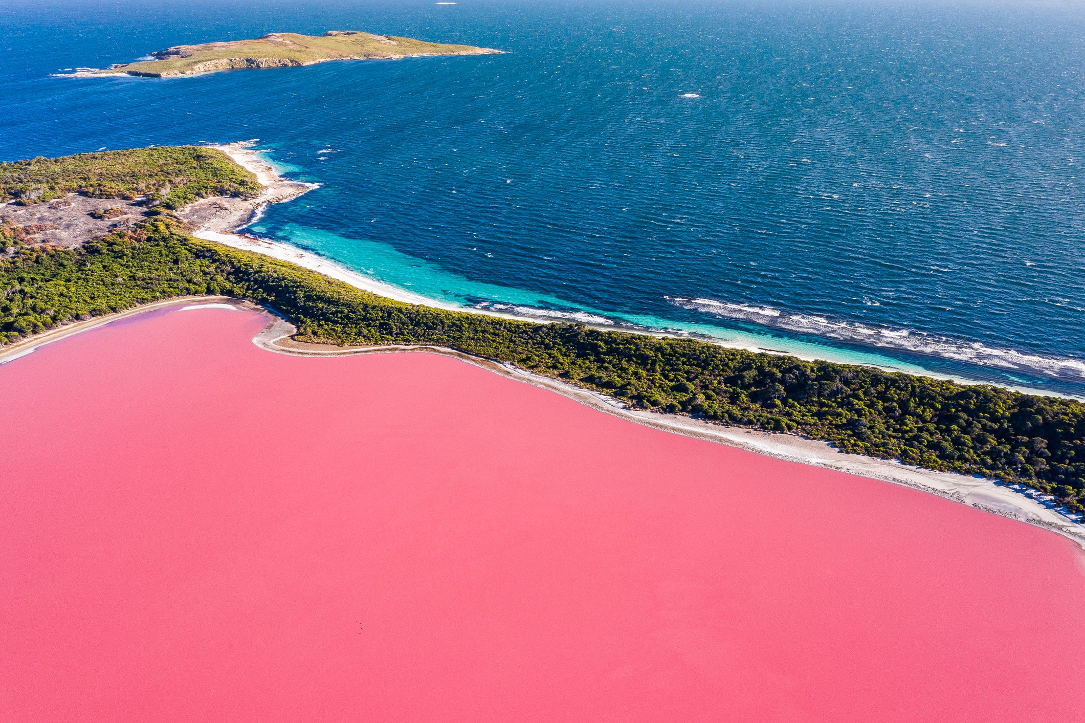 Pink lake aerial view on middle island surrounded blue ocean. Stark contrasting natural phenomenon in Western Australia.