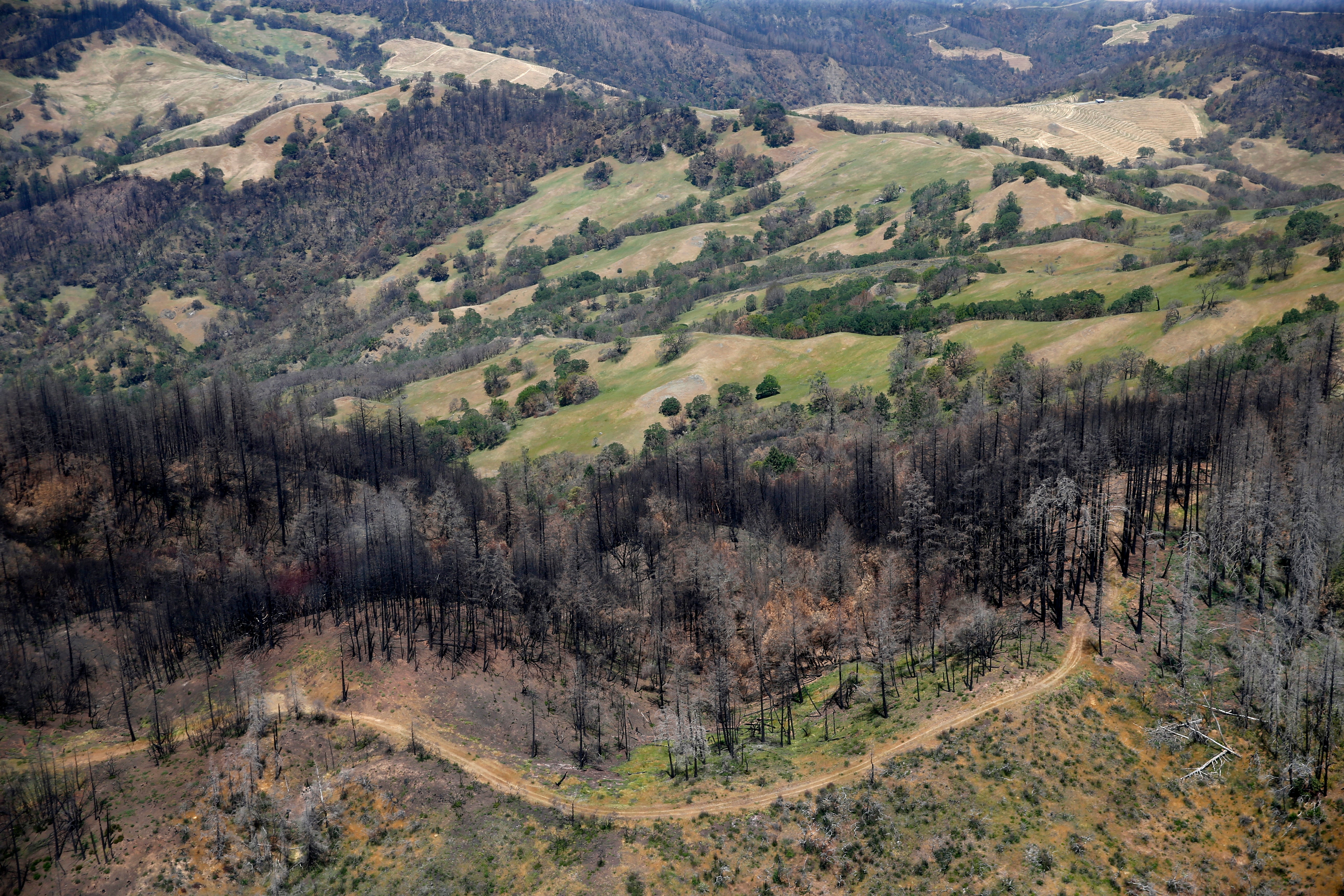 An aerial view of wildfire burn scars from the Glass Fire are seen in Sonoma County, Calif., on Wednesday, May 12, 2021. Bruce Gordon, EcoFlight founder, executive director and pilot, and Dr. Sasha Berleman, director of Fire Forward at Audubon Canyon Ranch, took members of the media aboard a flight out of Petaluma Municipal Airport to view past wildfires and prescribed burns in Sonoma County. (Jane Tyska/Digital First Media/East Bay Times via Getty Images)
