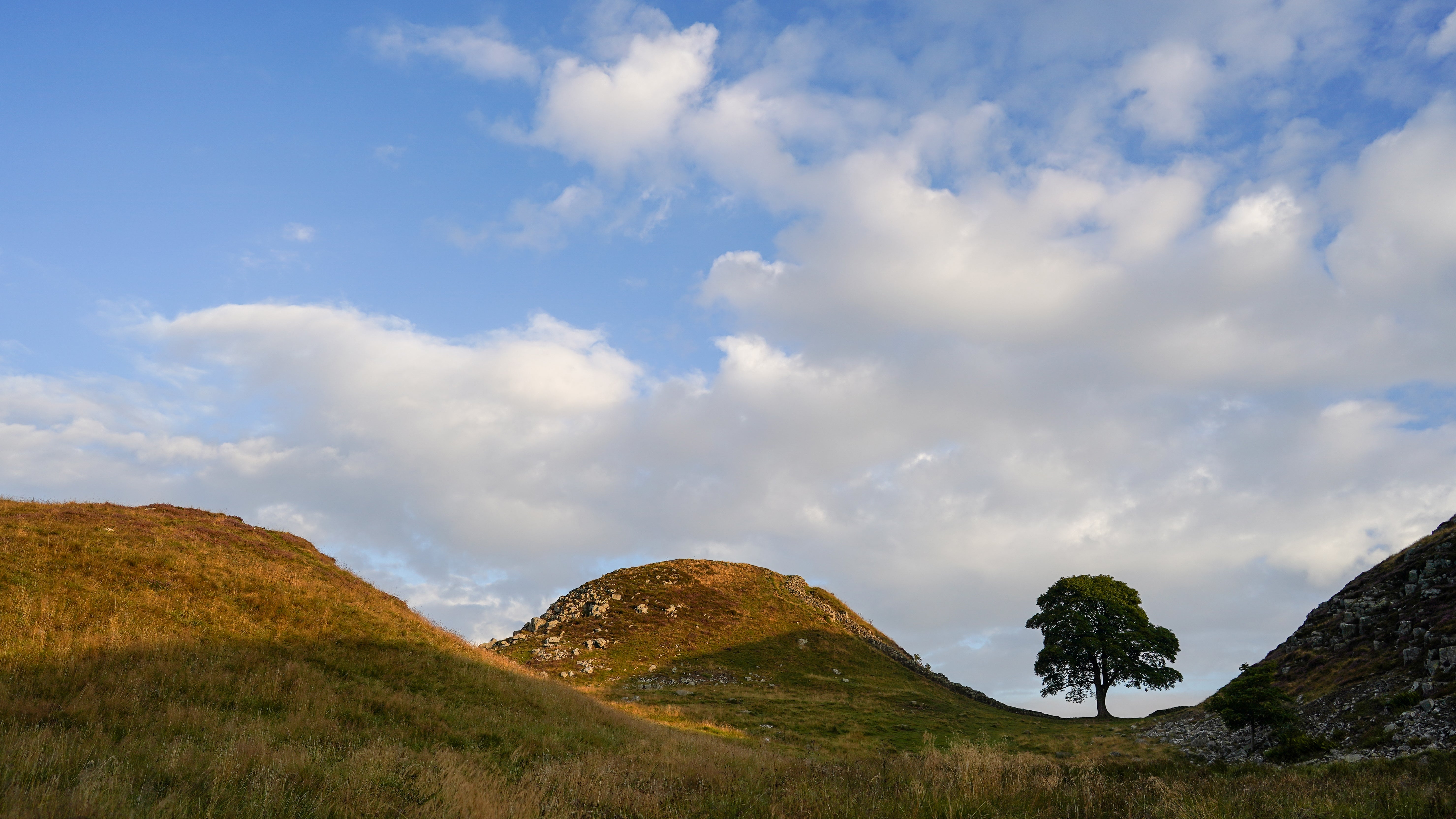 Photos Of The Sycamore Gap Tree
