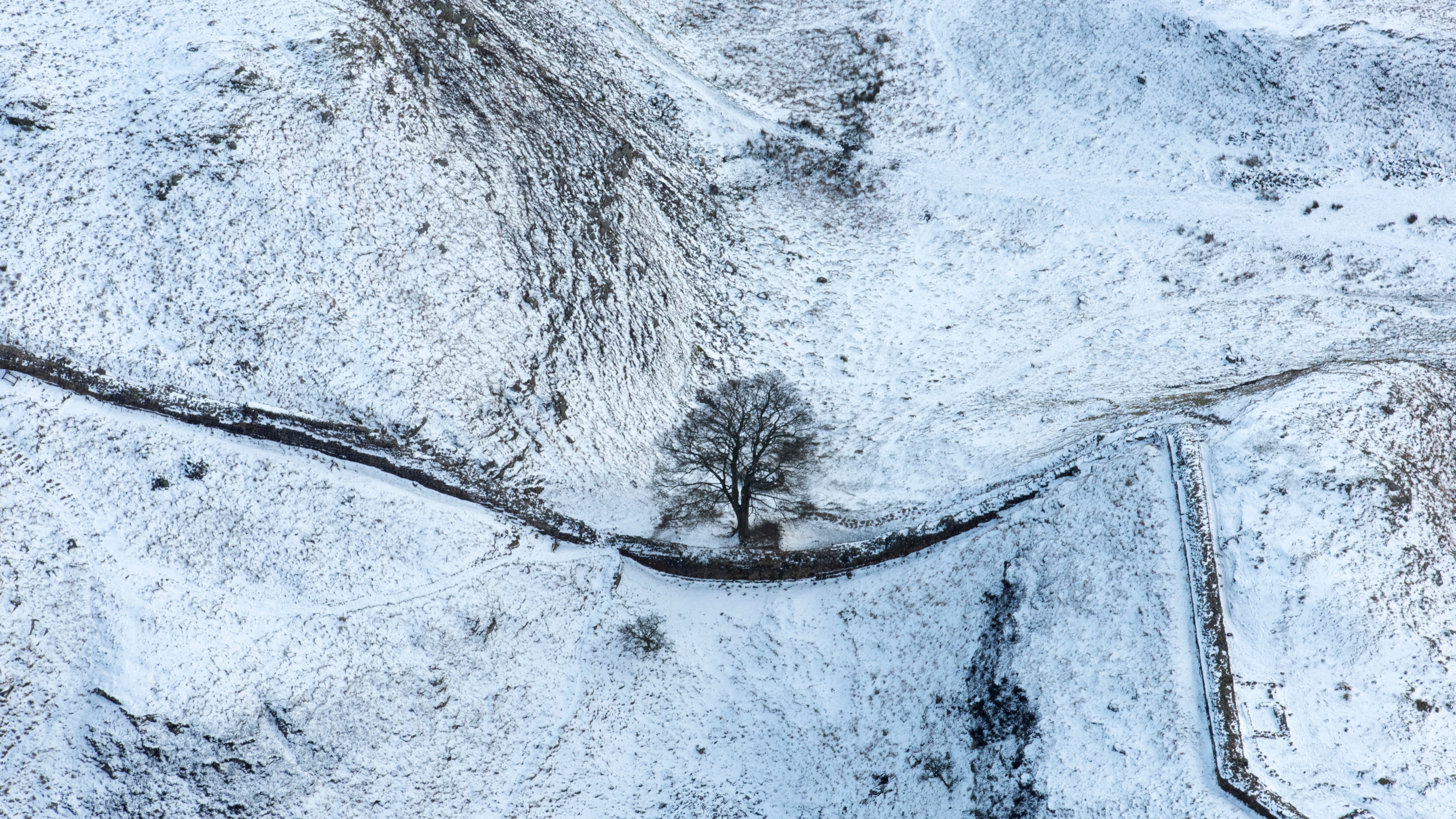 Photos Of The Sycamore Gap Tree