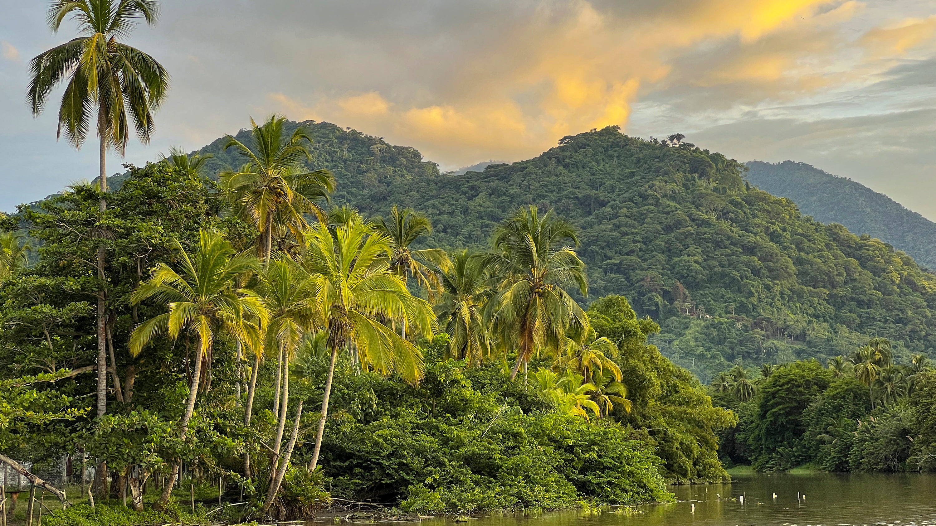 Green vegetation is seen along the Mendihuaca River near the foothills of the Sierra Nevada in Tayrona National Park in northern Colombia. (Thomas O'Neill/NurPhoto via Getty Images)