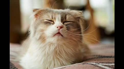 17 Things You Probably Didn T Know About The Flu The Weather Channel