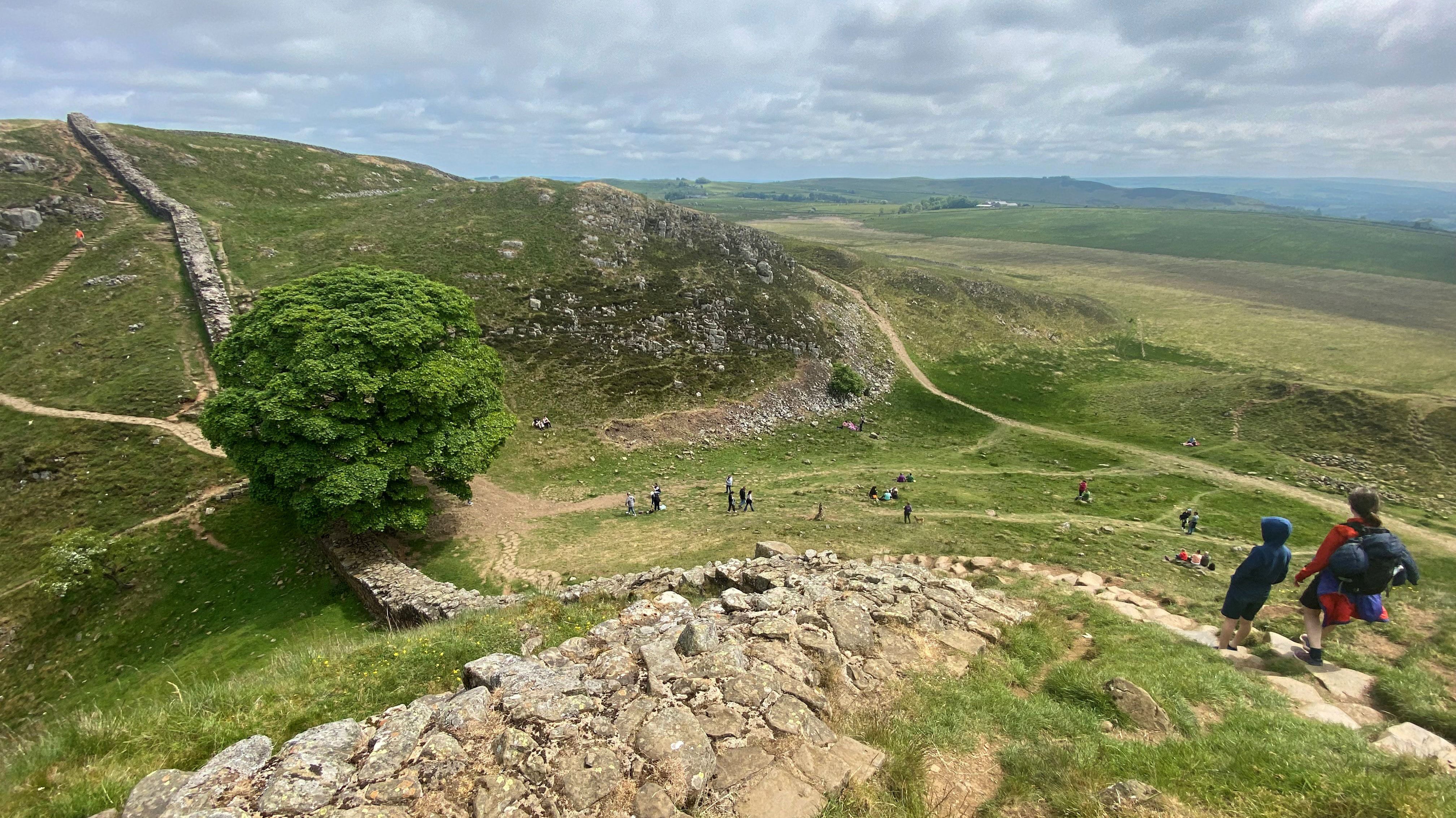 Photos Of The Sycamore Gap Tree