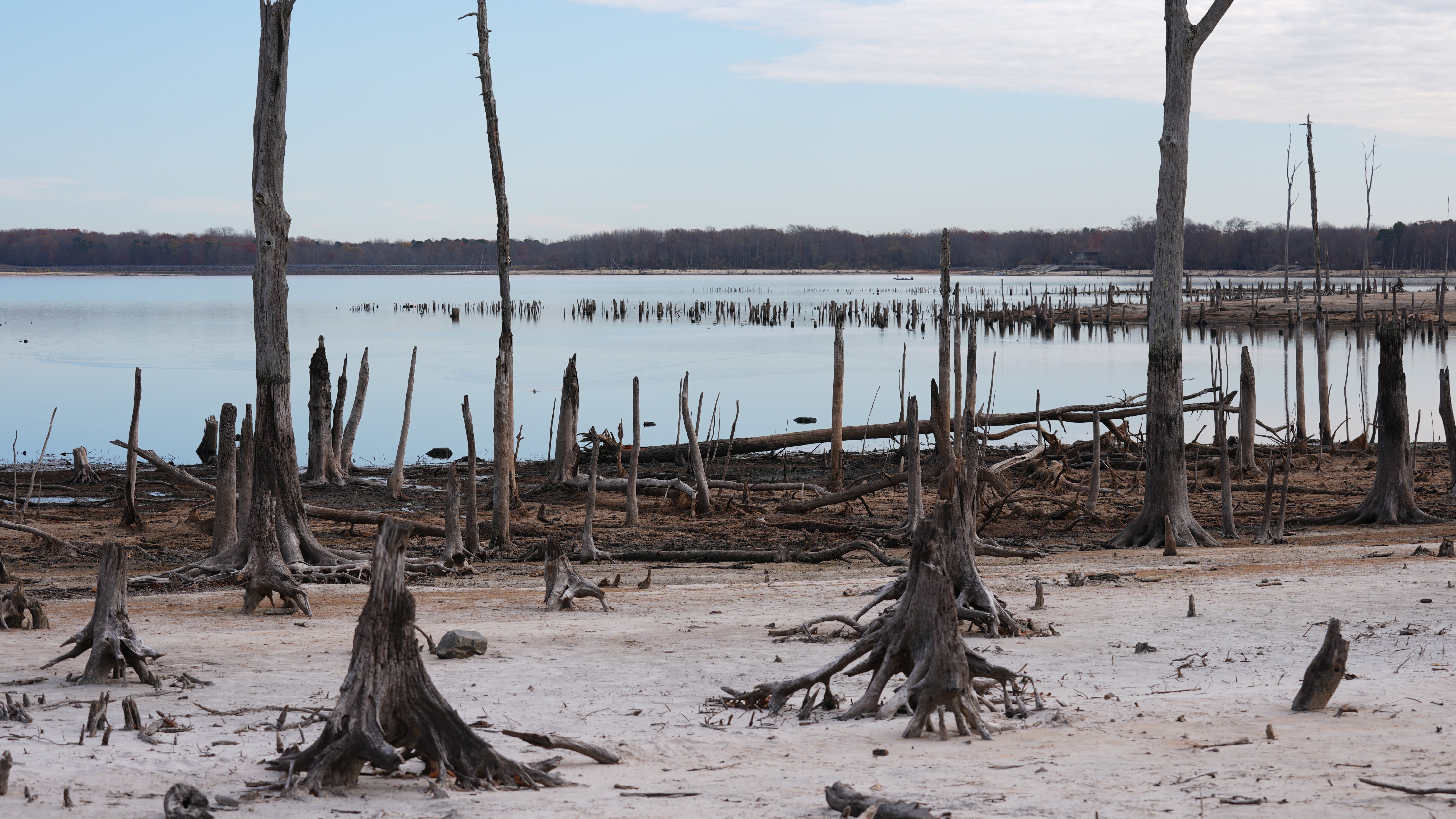 Manasquan Reservoir, which supplies  that supplies drinking water to 1.2 million New Jersey residents, is seen as it dropped below half empty on Nov. 20, 2024. (Lokman Vural Elibol/Anadolu via Getty Images)