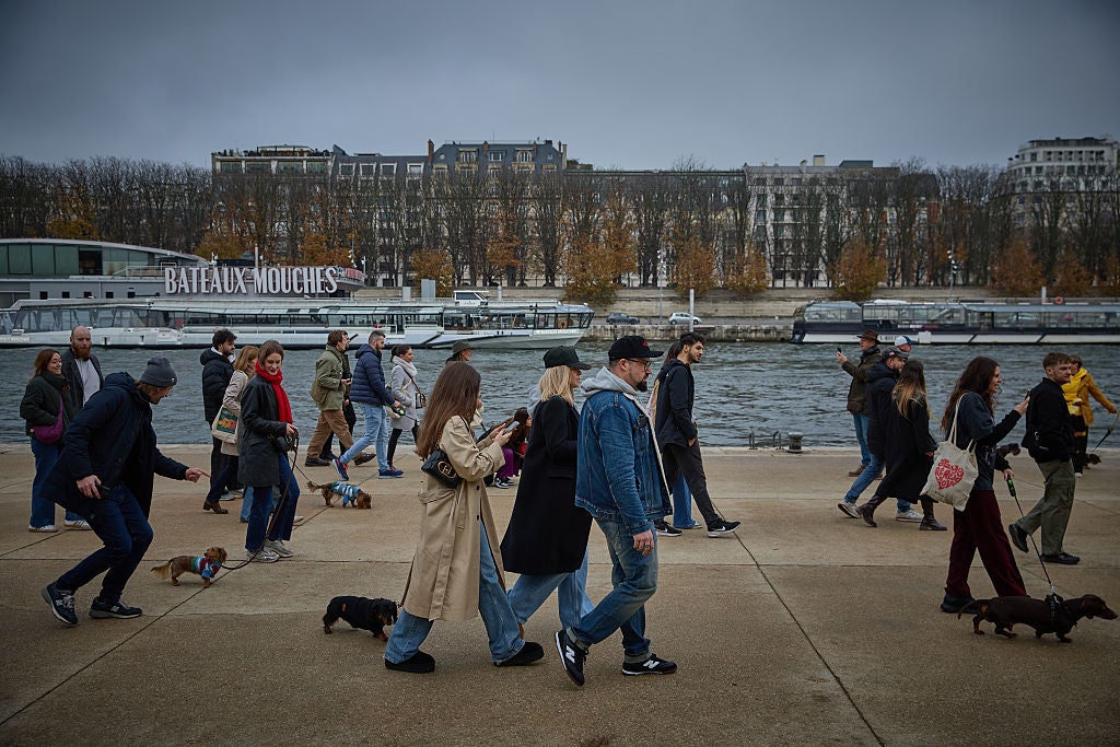 PARIS, FRANCE - NOVEMBER 16: Owners and dogs participate in the 6th Annual Paris Sausage Walk along the banks of the river Seine as thousands of daschunds take part in the annual celebration on November 16, 2025 in Paris, France. (Photo by Kiran Ridley/Getty Images)