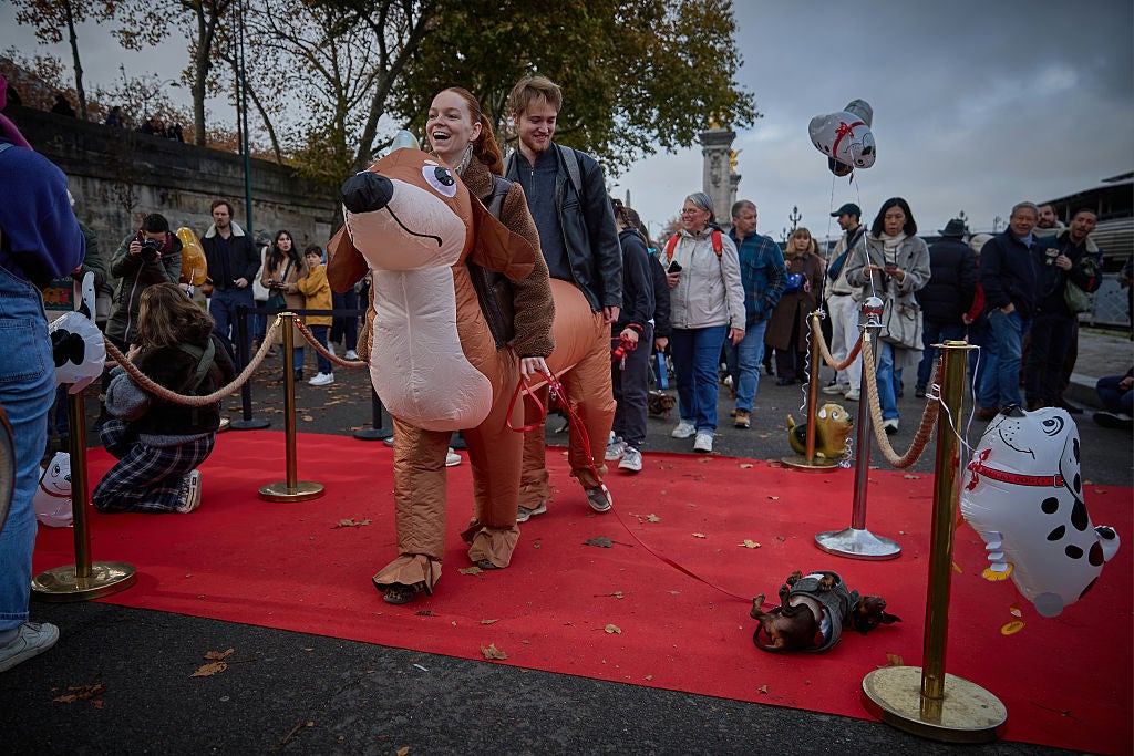 PARIS, FRANCE - NOVEMBER 16: A couple in a Daschund fancy dress costume cross the finish line with their Daschund during the 6th Annual Paris Sausage Walk along the banks of the river Seine on November 16, 2025 in Paris, France. Thousands of Daschunds and owners took part in the annual celebration to raise money for the well being and adoption of Daschunds. (Photo by Kiran Ridley/Getty Images)