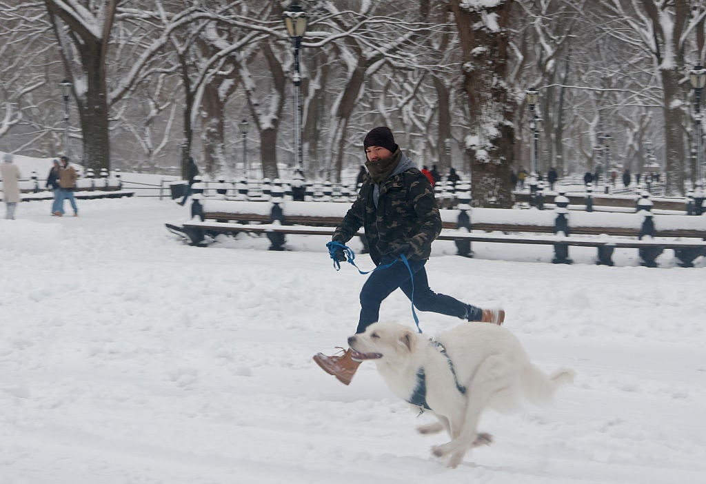 NEW YORK, NY - DECEMBER 27: A man runs with his dog in the snow in Central Park after an overnight snowstorm on December 27, 2025, in New York City. (Photo by Gary Hershorn/Getty Images)