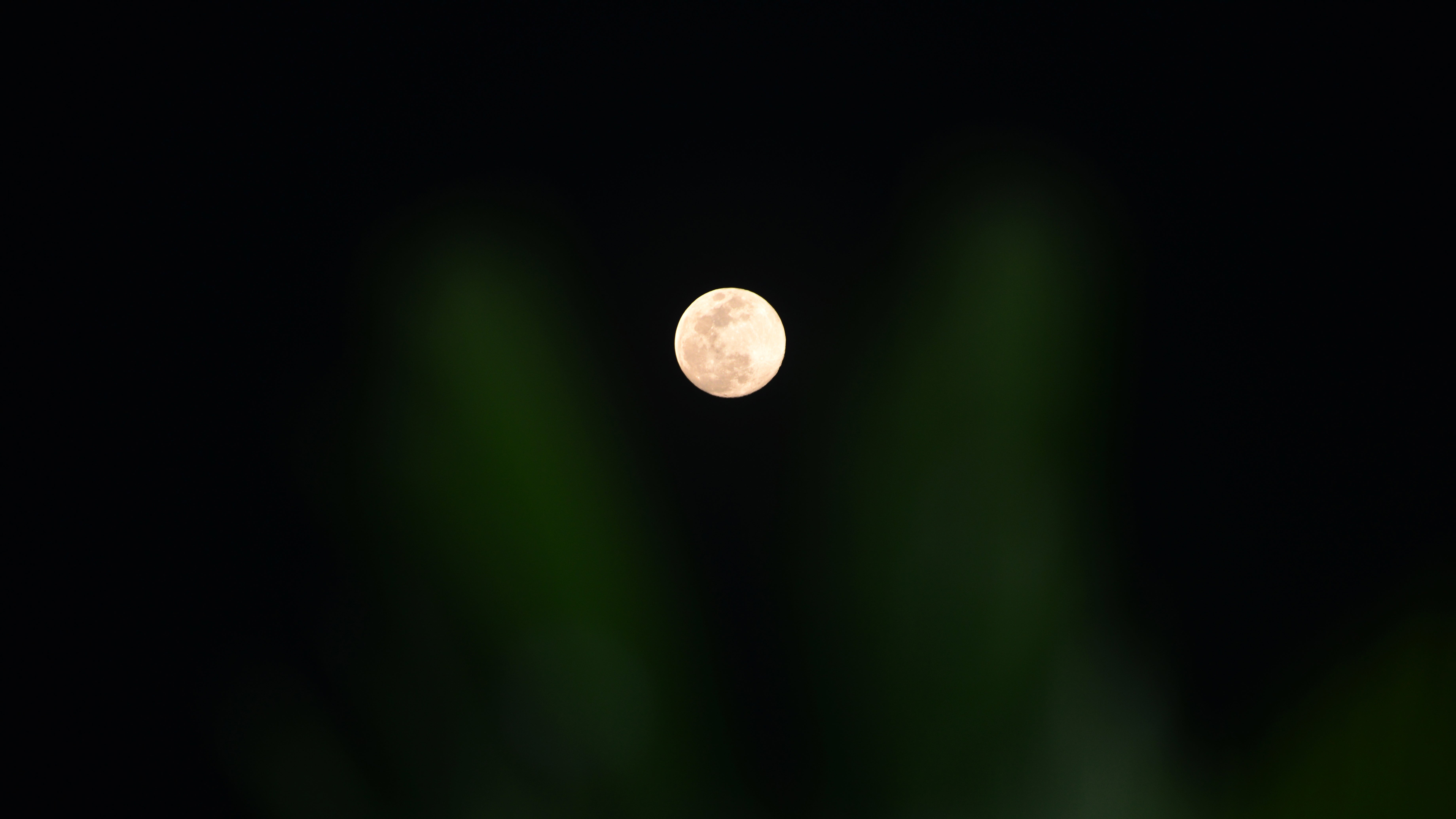 A Full Wolf Super Moon rises in the sky in Siliguri, India, on January 2, 2026. (Photo by Diptendu Dutta/NurPhoto via Getty Images)
