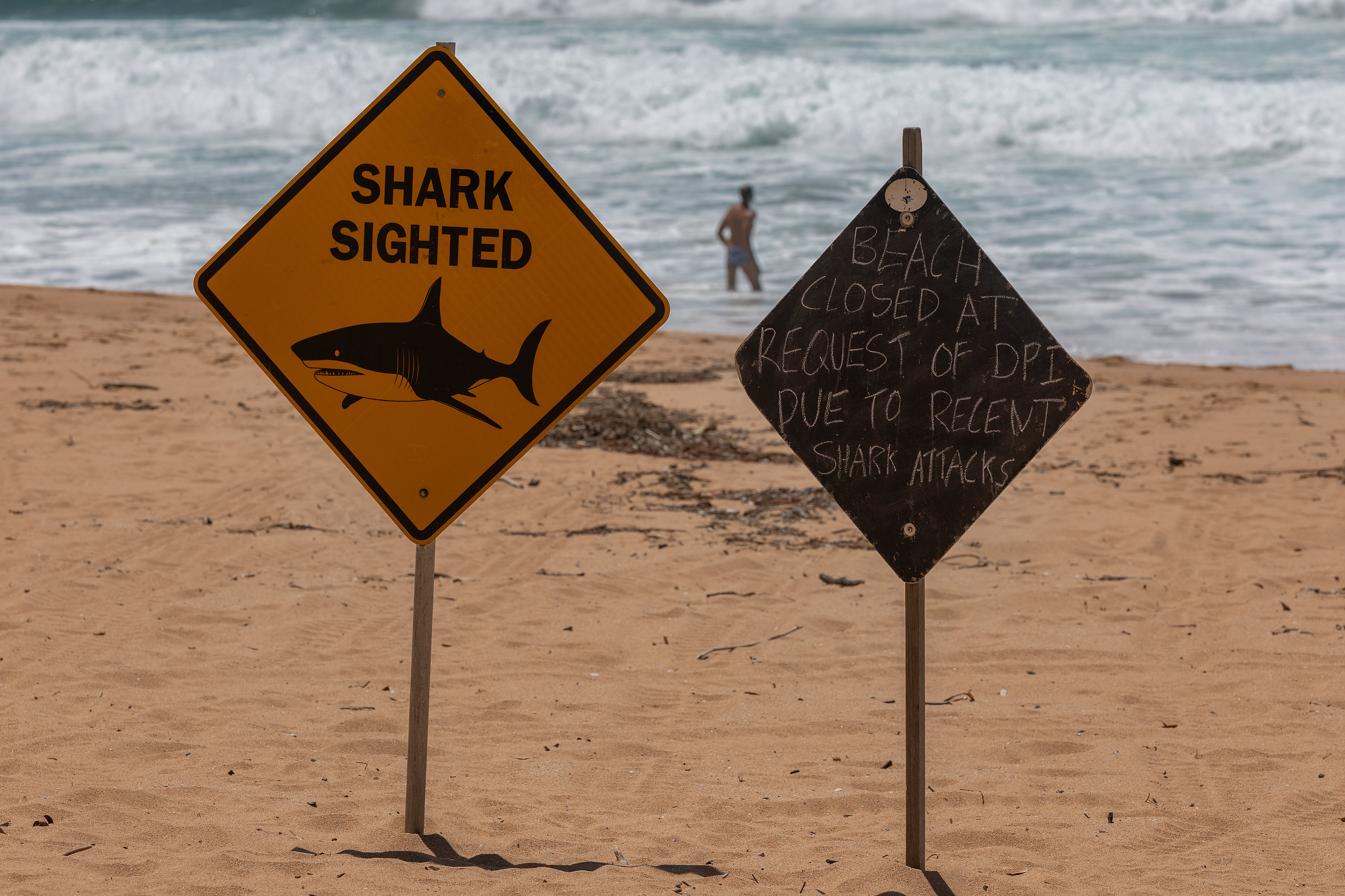 SYDNEY, AUSTRALIA - JANUARY 22: A swimmer takes s dip at Whale Beach ignoring warning signs as beaches in Sydney's north have been closed since Tuesday due to shark attacks and dangerous currents during summer in Sydney on January 22, 2026 in Sydney, Australia. (Photo by Steve Christo - Corbis/Corbis via Getty Images)