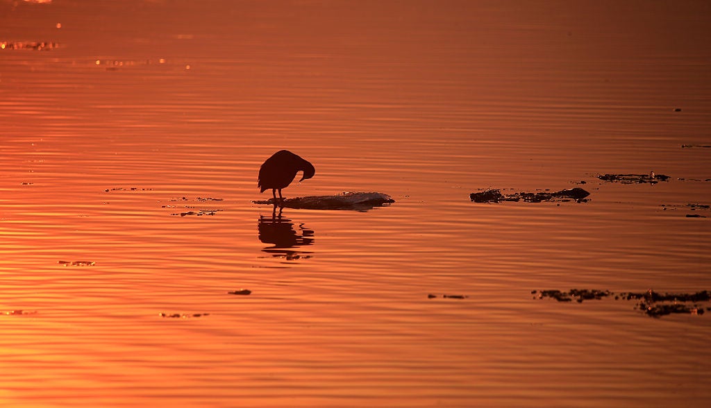 HARBIN, CHINA - MARCH 30: Sunset glow shines over the melting Songhua River on March 30, 2026 in Harbin, Heilongjiang Province of China. (Photo by VCG/VCG via Getty Images)