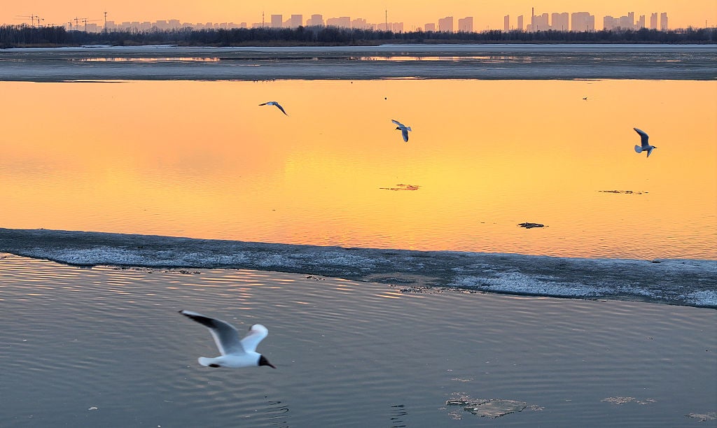 HARBIN, CHINA - MARCH 30: Sunset glow shines over the melting Songhua River on March 30, 2026 in Harbin, Heilongjiang Province of China. (Photo by VCG/VCG via Getty Images)