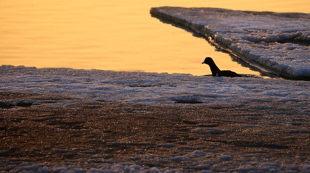HARBIN, CHINA - MARCH 30: Sunset glow shines over the melting Songhua River on March 30, 2026 in Harbin, Heilongjiang Province of China. (Photo by VCG/VCG via Getty Images)