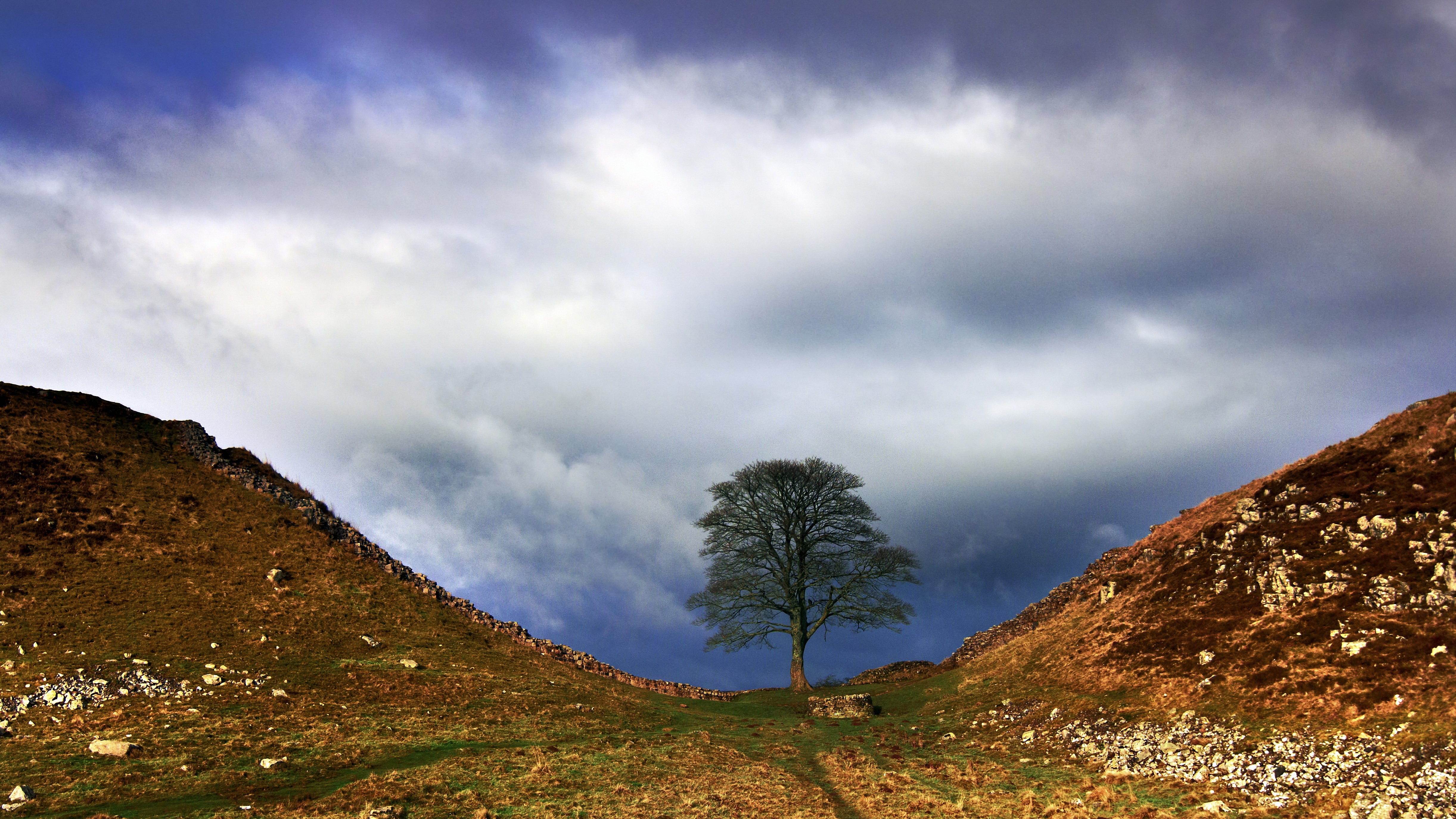 Photos Of The Sycamore Gap Tree