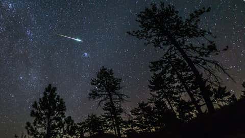 A meteor from the 2016 Perseid meteor shower streaks across the night sky above some pine trees in the Cleveland National Forest. Mount Laguna, San Diego County, California. USA