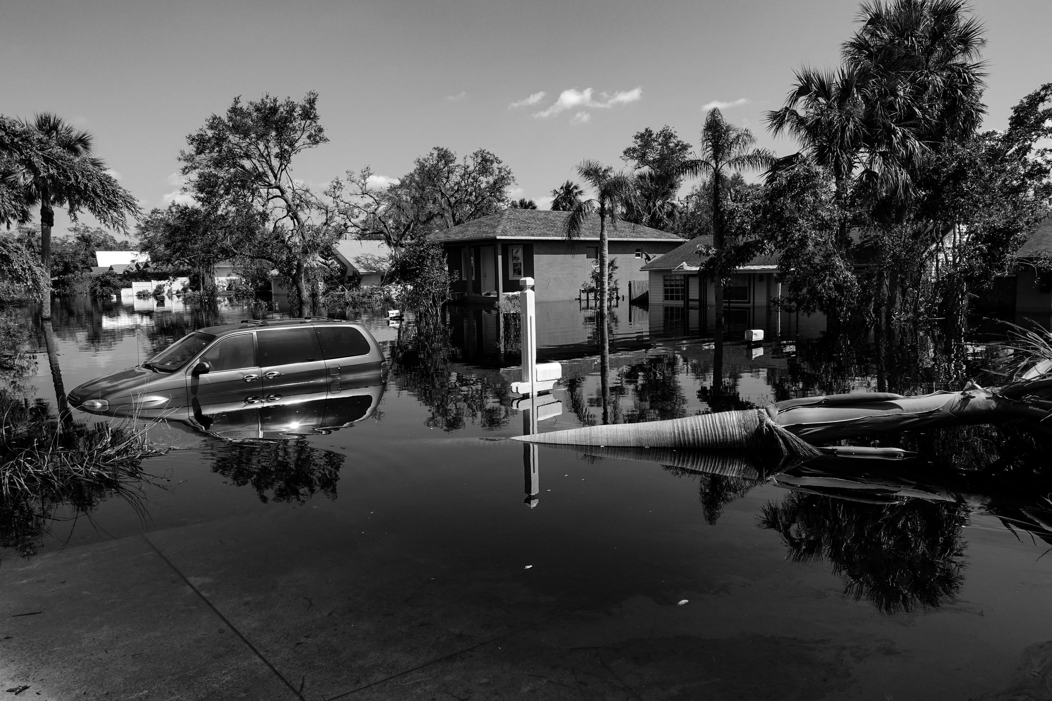 Cars and fallen plam trees in flooded Bonita Springs, FL neighborhood​ after Hurricane Irma.