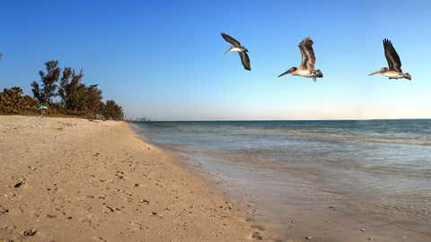 White sand beach of Delnor-Wiggins Pass State Park with a blue sky above in Naples, Florida.