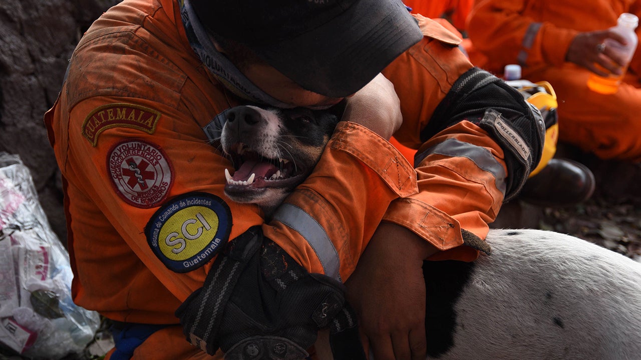 A volunteer firefighter hugs a dog during the search for victims of Sunday's Fuego Volcano eruption in Alotenango, a municipality in Sacatepequez Department, southwest of Guatemala City on June 6, 2018. New explosions boomed from Guatemala's fearsome Fuego volcano on Wednesday, unleashing fresh torrents of molten mud and ash down slopes where officials said 99 people had been killed and 200 were still missing. (Orlando Estrada/AFP/Getty Images)                                                                   
