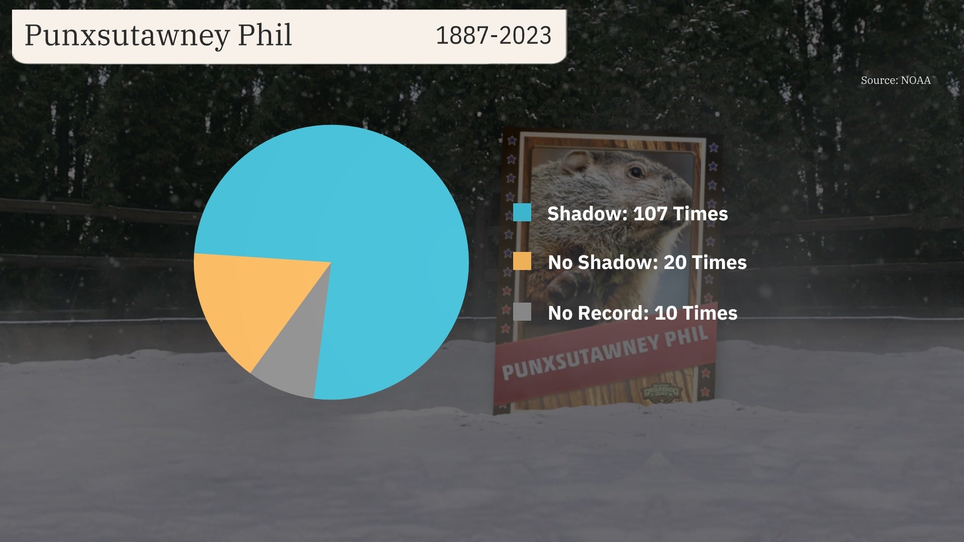 Groundhog Day Forecast 2024 Will Punxsutawney Phil See His Shadow