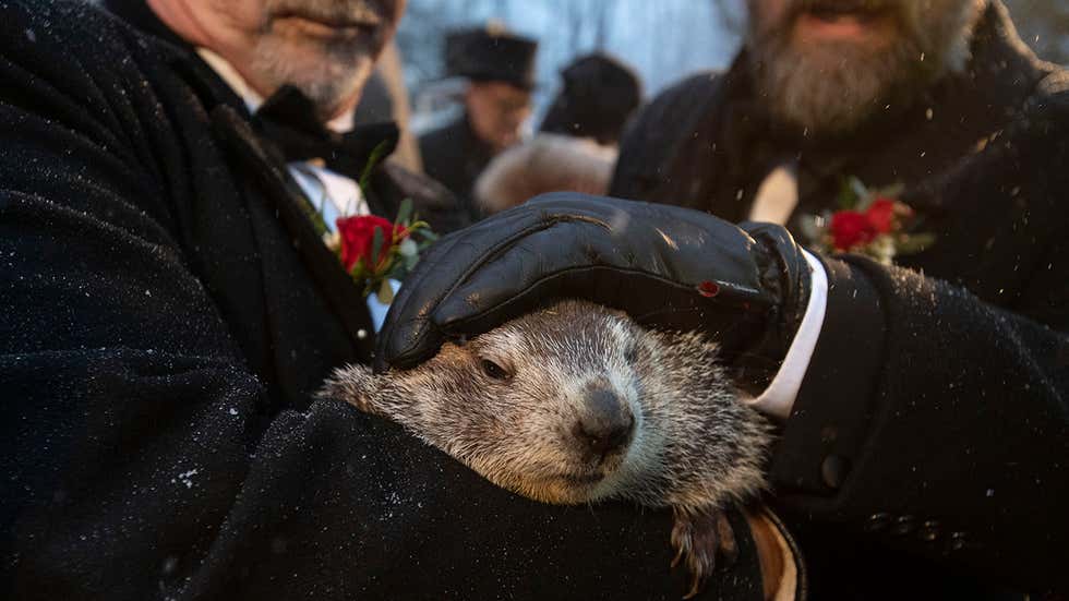 Learn the History of Groundhog Day and When It Will Be in 2023 Groundhog Day 2023 Forecast; How Accurate Is Punxsutawney Phil? | Weather Underground