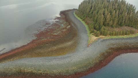 Aerial view of a heart-shaped island near the Port Chalmers area, hidden in the beautiful fjords of Alaska. (Alaska ShoreZone Program NOAA/NMFS/AKFSC; Courtesy of Mandy Lindeberg, NOAA/NMFS/AKFSC )