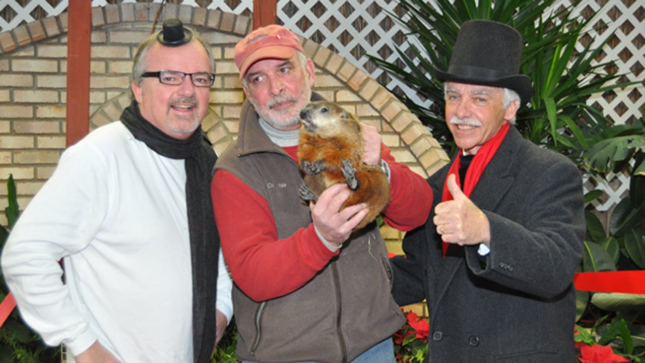 Groundhog Day 2015 Top 11 Groundhogs to Watch (PHOTOS) The Weather