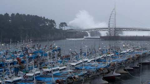 한국 제주도 항구에 정박한 선박들 출처: IANS