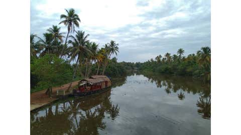 Technology assisted ecosystem-based conservation need of hour for Kerala (IANS)