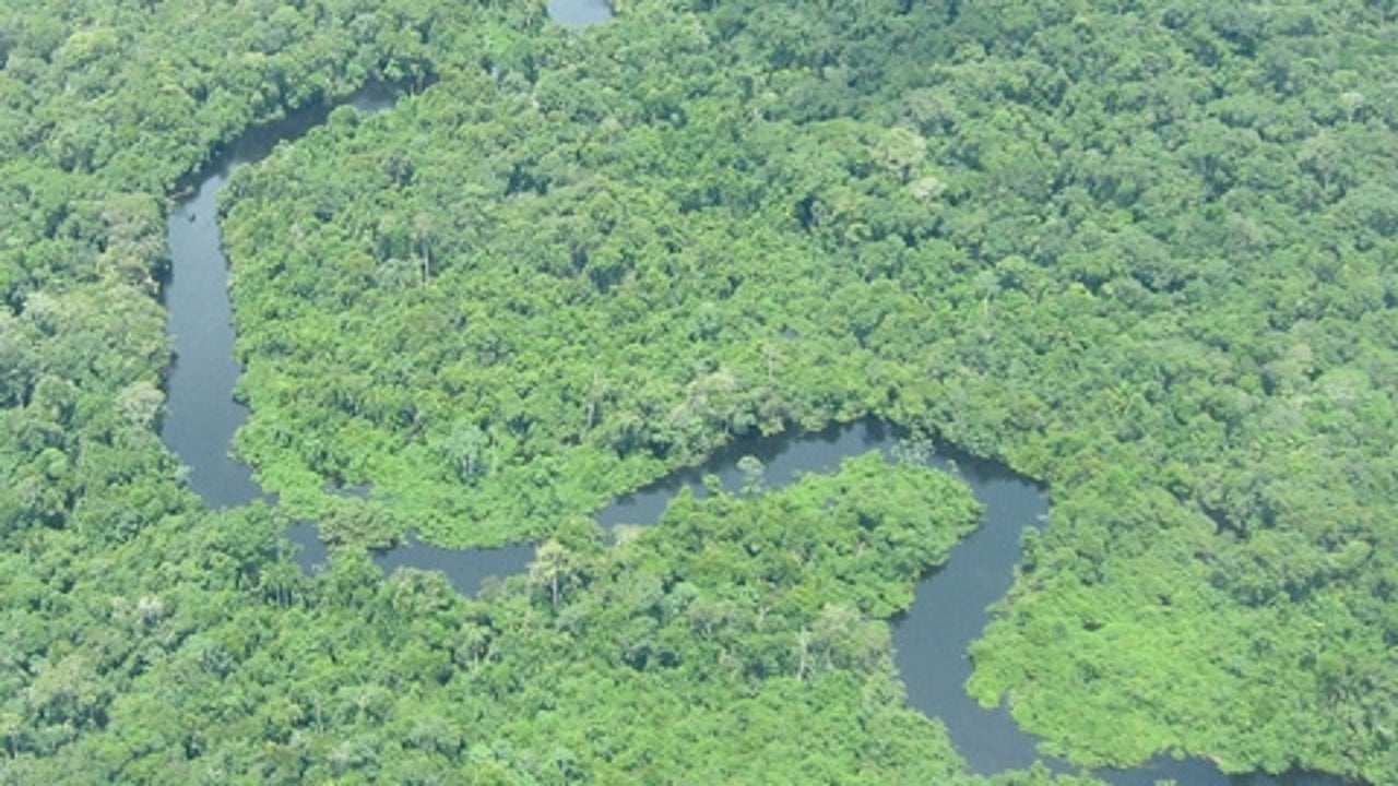 Brazil S Amazon Rainforest Sees Highest Deforestation Activity In June The Weather Channel Articles From The Weather Channel Weather Com Brazil S Amazon Rainforest Sees Highest Deforestation Activity In June The Weather Channel Articles From The Weather Channel Weather Com