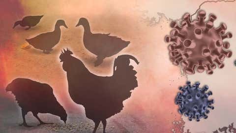 Representational Image (IANS)