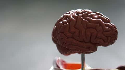 Uncommon Gene Mutation in US Man Delays Alzheimer's Onset By Two Many years 1 Representational Image (IANS)