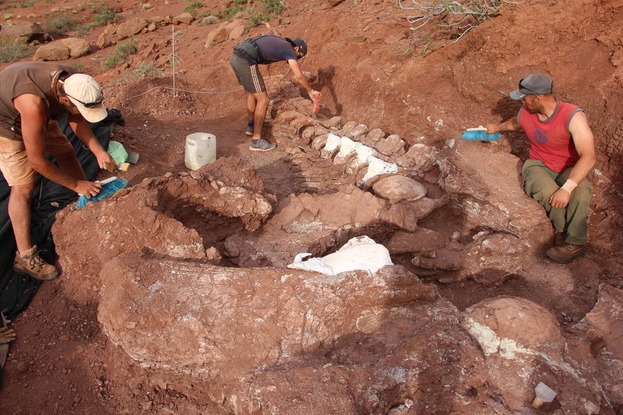 A Titan Among Beasts: Gigantic Fossil Recovered From Argentina Could Belong to Largest Dinosaur Ever | Weather.com