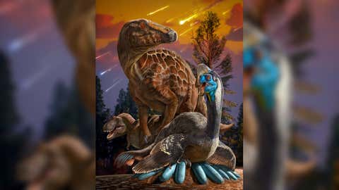 Artist's depiction of Late Cretaceous oviraptorosaurs, hadrosaurs, and tyrannosaurs living in central China (Credits: IVPP)