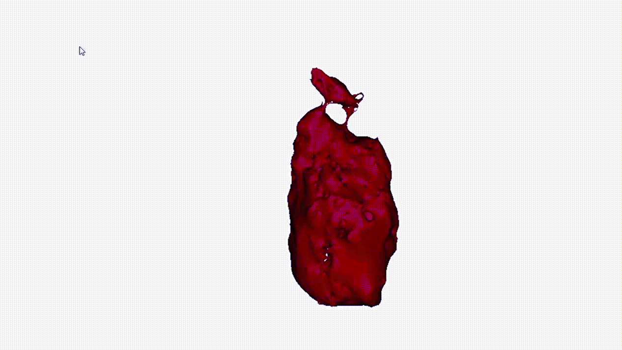 Heart position animation created by Alice Clement (Alice Clement/EurekAlert)