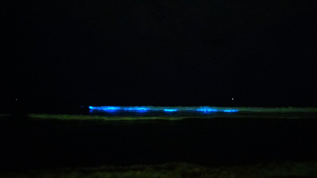 Bioluminescent Algae Make Comeback on Chennai's Beaches | Weather.com