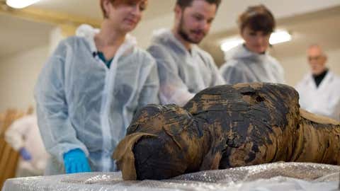 Researchers of the Warsaw Mummy Project with the pregnant mummy. (@warsaw_mummy/Twitter)