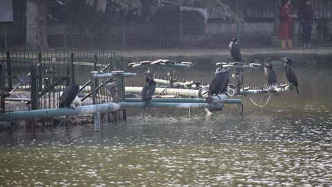 Representative Image. (IANS)