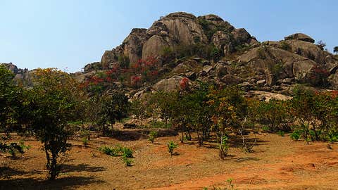 Granitoids of the Singhhum Craton that emerged above the oceans. (Subham Mukherjee / University of Delhi via TOI)