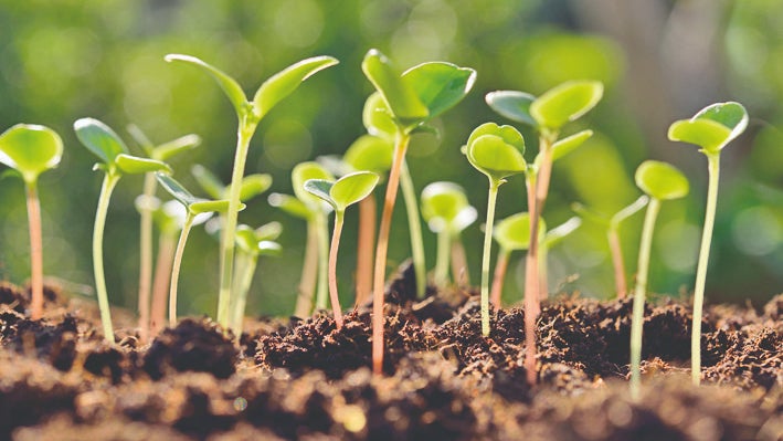 World Soil Day Issues Caused By Soil Erosion And Ways To Prevent It The Weather Channel Articles From The Weather Channel Weather Com