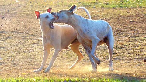 Representational image (Sanjay Hadkar/TOI, BCCL, Mumbai)