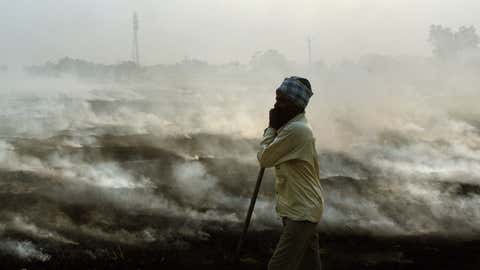 A farmer stands in a field as smoke rises from the burning of paddy straw in Agaul, on the outskirts of Patiala, Punjab.  (Payal Bhattacharjee/TOI, BCCL, Delhi)