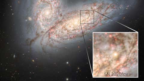 Glowing remains of the SN 2020fqv supernova that was detected in 2020 (International Gemini Observatory/NOIRLab/NSF/AURA)