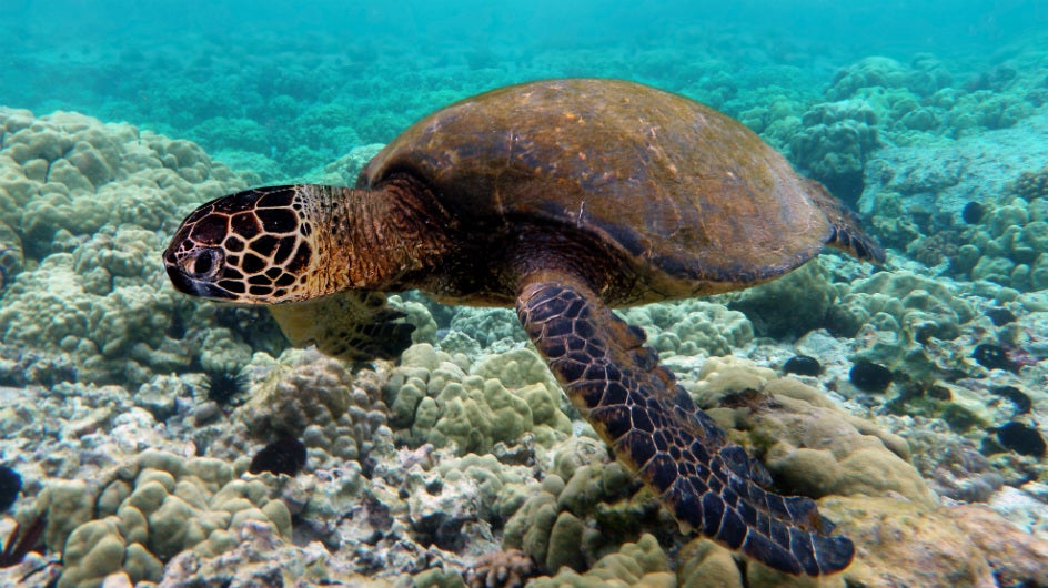 thunderstorms in ne india; other regions remain warm