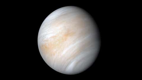 Venus (NASA/JPL)