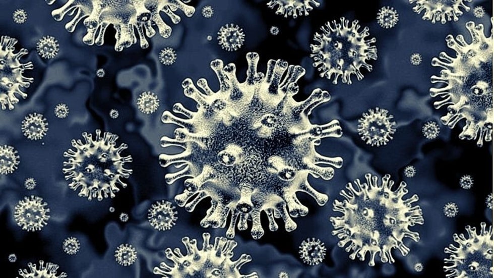 Diabetes May Increase Risk Of Developing Black Fungus Infection Post Covid 19 Health Experts The Weather Channel Articles From The Weather Channel Weather Com Diabetes May Increase Risk Of Developing Black Fungus Infection Post Covid 19 Health Experts The Weather Channel Articles From The Weather Channel Weather Com