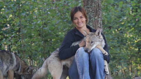 Christina Witt Hansen avec le chiot loup Lemmy (Peter Coyote / Phys.org)