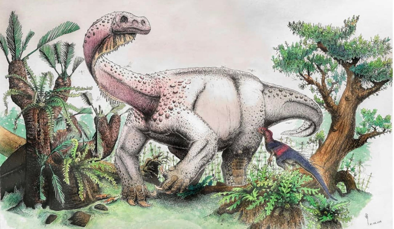 An illustration shows Ledumahadi mafube foraging in South Africa. In the foreground sits another South African dinosaur called Heterodontosaurus. (Viktor Radermacher/University of the 'Witwatersrand)