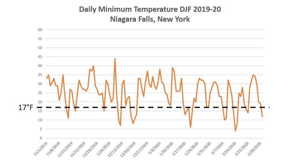 Daily minimum temperatures in Niagara Falls, NY, 12/19-2/20