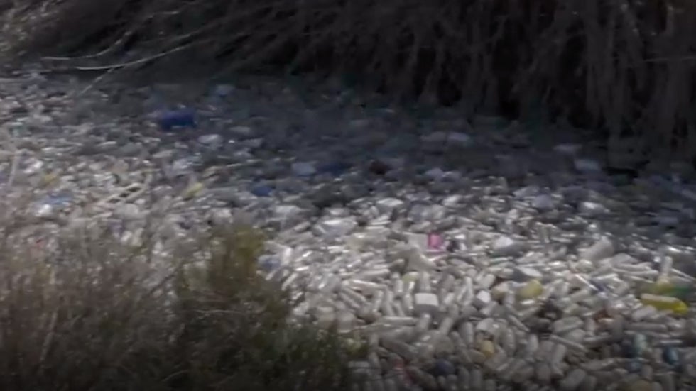 Spain River Choked with Plastic Pollution Cleaned up by Greenpeace Activists The Weather Channel