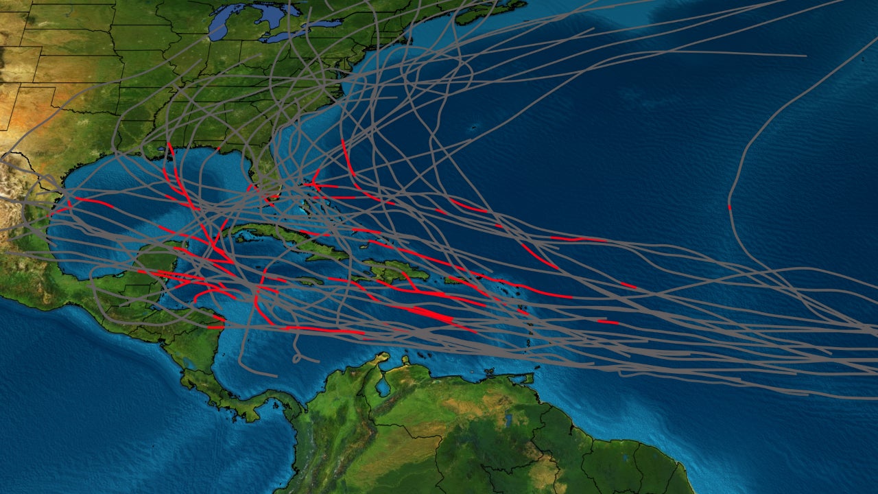 ジョリーンTHE FEW　HURRICANE 36 3T7HHKTRHNGT3LD4VHTBMM5K24.png